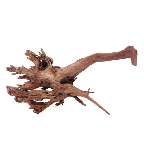 Aquaone driftwood radice - aquaone,