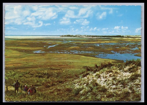 Cartolina texel olanda - texel,
