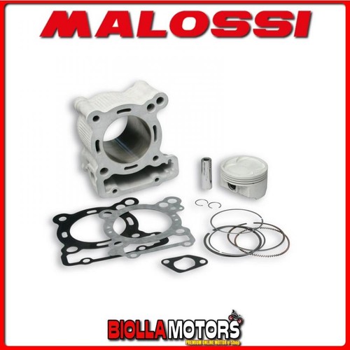 3115326 gruppo termico malossi - 3115326,
