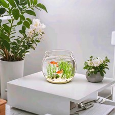 1pcs Animale Domestico