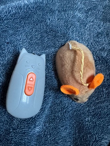 Peluche elettronico