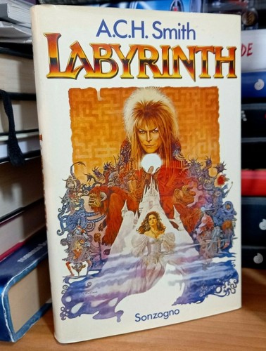 Raro libro fantasy labyrinth - libro,