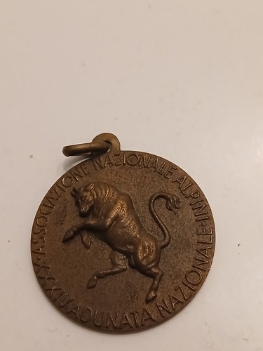 Medaglia adunata nazionale - medaglia,