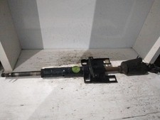 CANNA DELLO STERZO (PIANTONE)