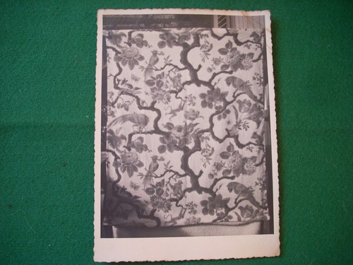 Antica foto bianco nero - foto,