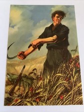 Cartolina propaganda partito - cartolina,