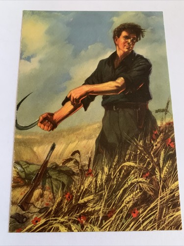 Cartolina propaganda partito - propaganda,