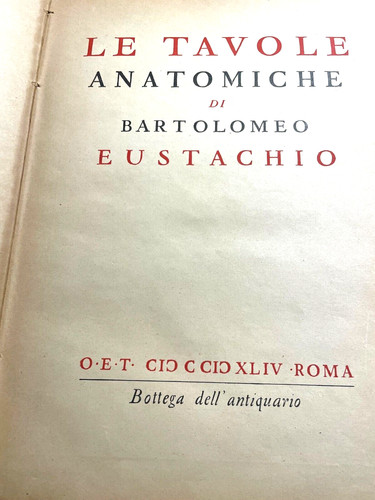 1944 tavole anatomiche di - 1944,