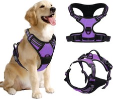 Pettorina per Cani, Antifuga E