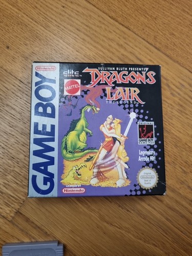 Dragon lair game - lair, boy