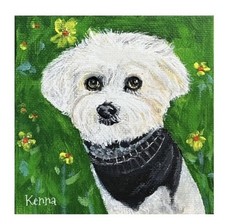 Painting By Kenna Bichon Frise