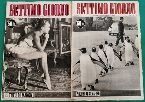 Settimo giorno lotto n 2 - settimo,