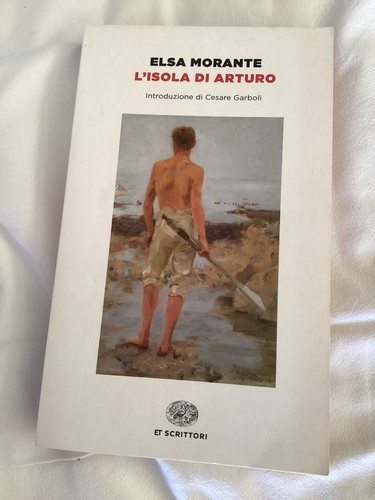 Libro romanzo isola di - l',