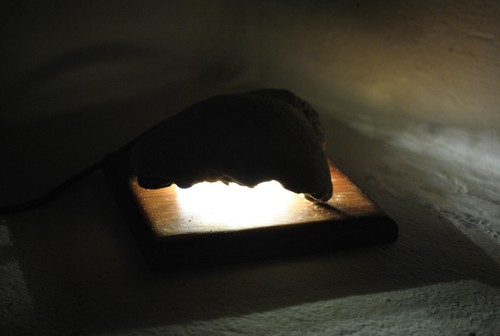 Lampada abat jour artigianale - abat-jour,