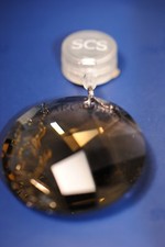 Swarovski 2010 SCS
