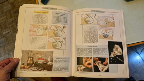 Manuale illustrato del - manuale,