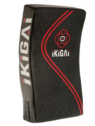 Myikigai thai kick - kick, strike
