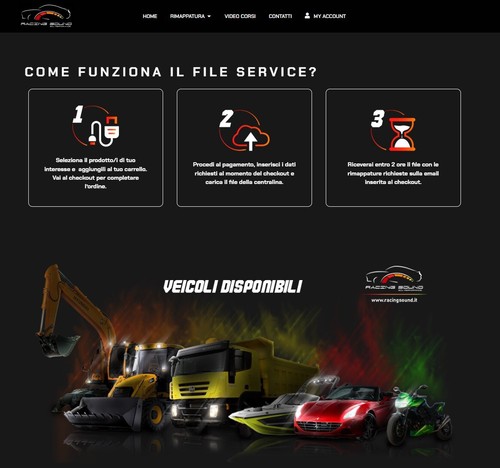 Rimappatura centralina - ,