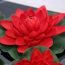 20pcs semi fiore loto - 20pcs, di