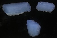 MUSEUM BLOWOUT!--Campioni