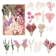 Fiori secchi naturali e