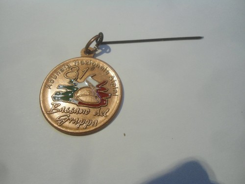 Adunata nazionale alpini - 81°,