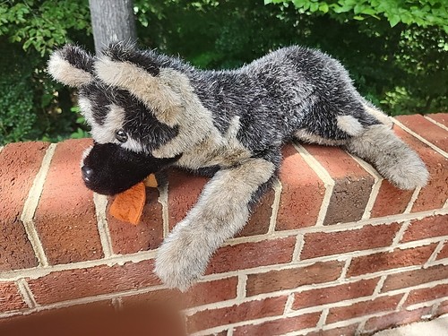 Raro cane peluche - , realistico