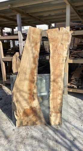 Tavole legno ulivo - 2, di