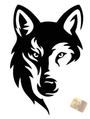 Adesivo stickers auto moto - stickers,
