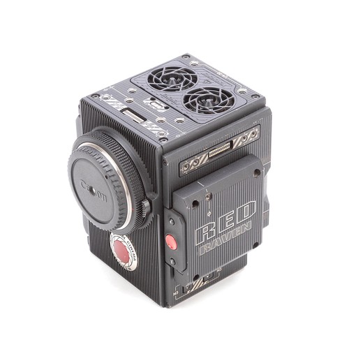 Fotocamera red raven brain - red,