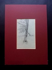 DISEGNO ORIGINALE Albero