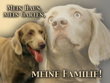 WEIMARANER Hundeschild SCHILD
