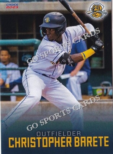 2023 charleston riverdogs - 2023,