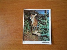 figurina IL MONDO DEGLI ANIMALI n.112 - ED. PANINI 1971