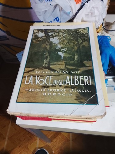 Libro camilla del soldato - libro, la