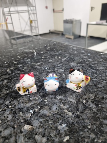 Maneki neko portafortuna - neko,