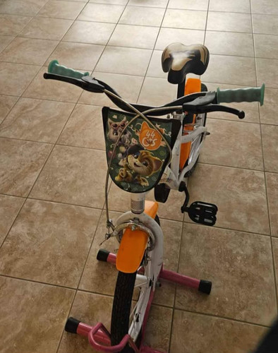 Bici cats gatti bambino - cats,
