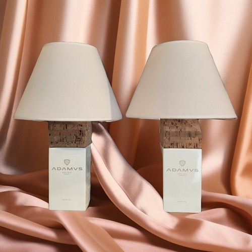 Coppia lampade fatte mano - coppia,