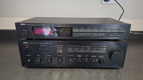 Amplificatore audio naturale