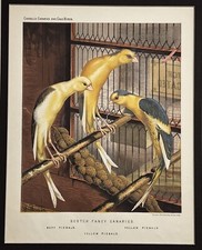 Stampa litografica originale