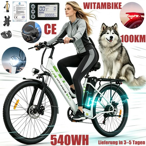 Bicicletta elettrica pendolare