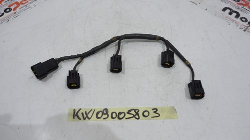 Cablaggio bobina pipetta