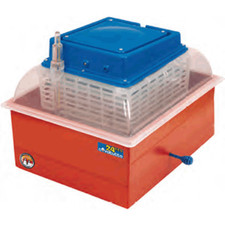 Novital Incubatrice Covatutto 24 per pollicoltura selvaggina 24 uova di gallina