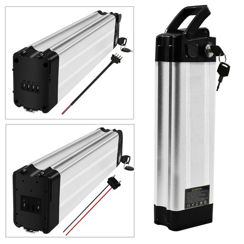 Silverfish 24v 36v 48v - 24v,