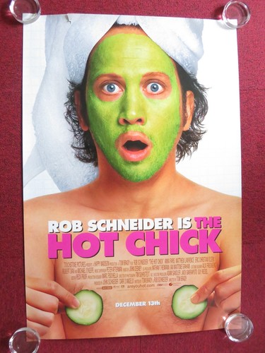 The hot chick one sheet - hot, us