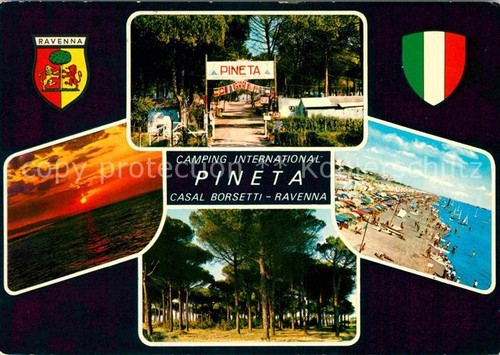 Ravenna italia pineta casal - italia,