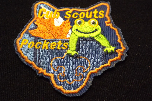 Boy scout cub activity - activity, award