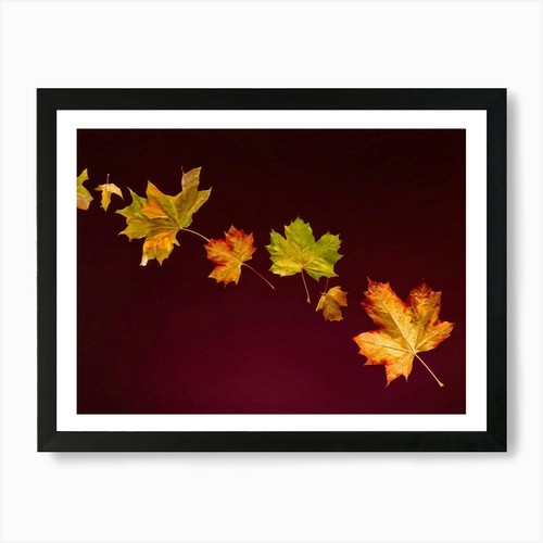 Quadro stampa tela poster - su,