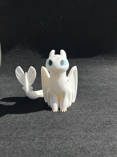 Dragon trainer fury toothless - trainer,