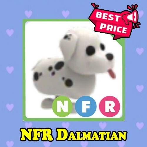 Nfr dalmatian adopt - dalmatian, me